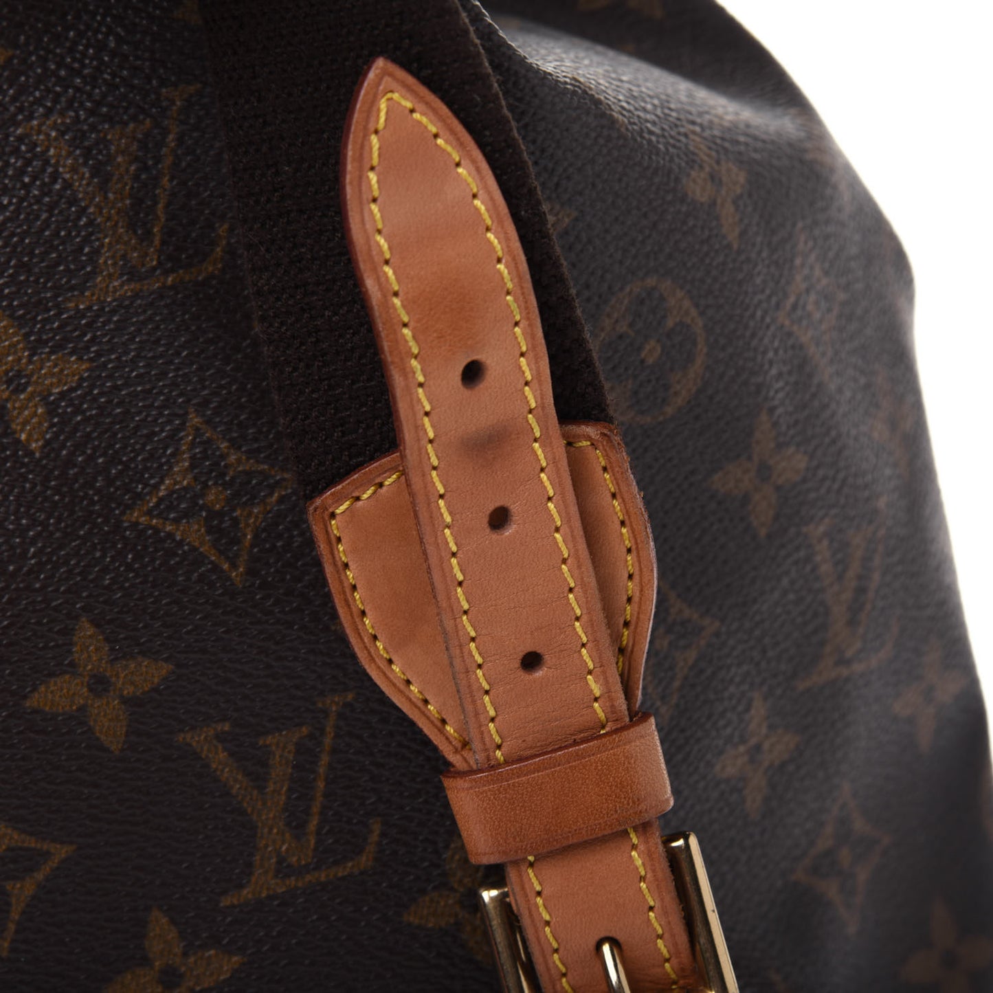 Monogram Montsouris GM Backpack