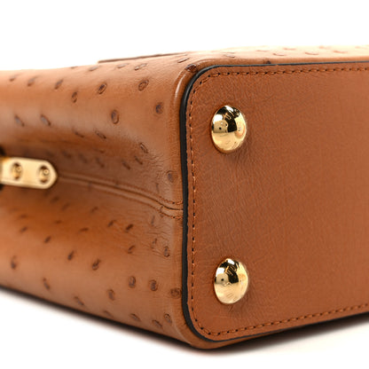Louis Vuitton Ostrich Capucines BB Cognac 9 of 15