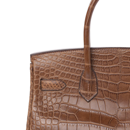 Hermes Matte Alligator Birkin 30 Alezan 14 of 29