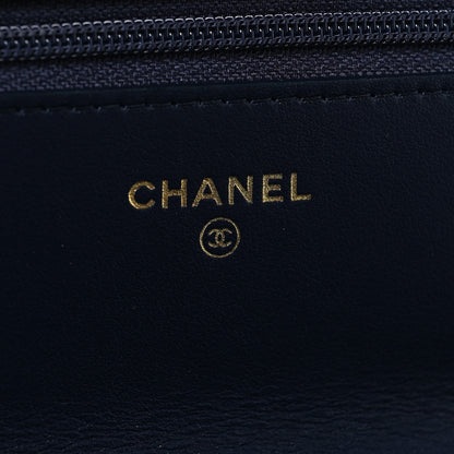 Chanel Lambskin Quilted Chanel 19 Wallet On Chain WOC Blue 6 of 11