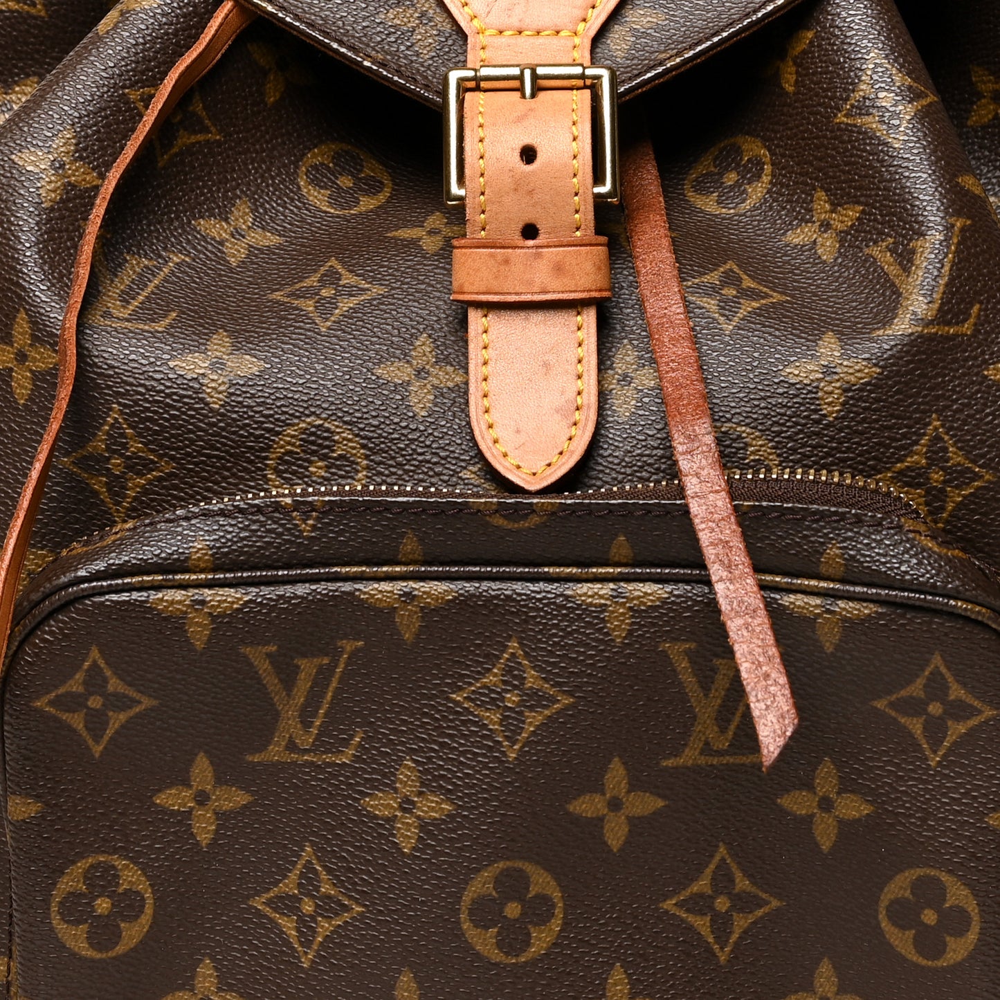Monogram Montsouris GM Backpack