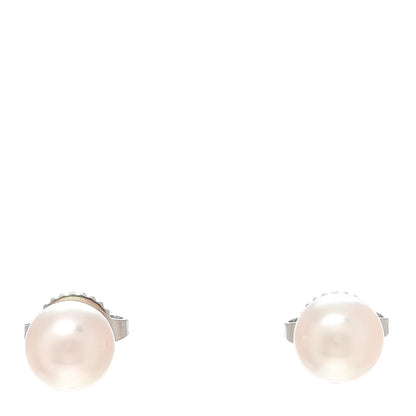 Tiffany 18K White Gold Akoya Pearl 6-6.5mm Signature Pearl Earrings 1 of 5