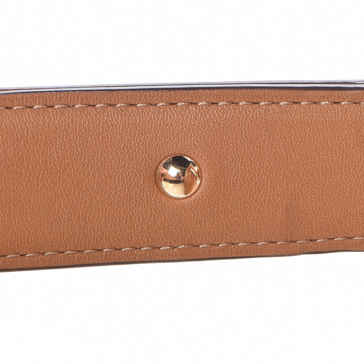 Delvaux Polo Givry Shoulder Bag Vegetal 23 of 25