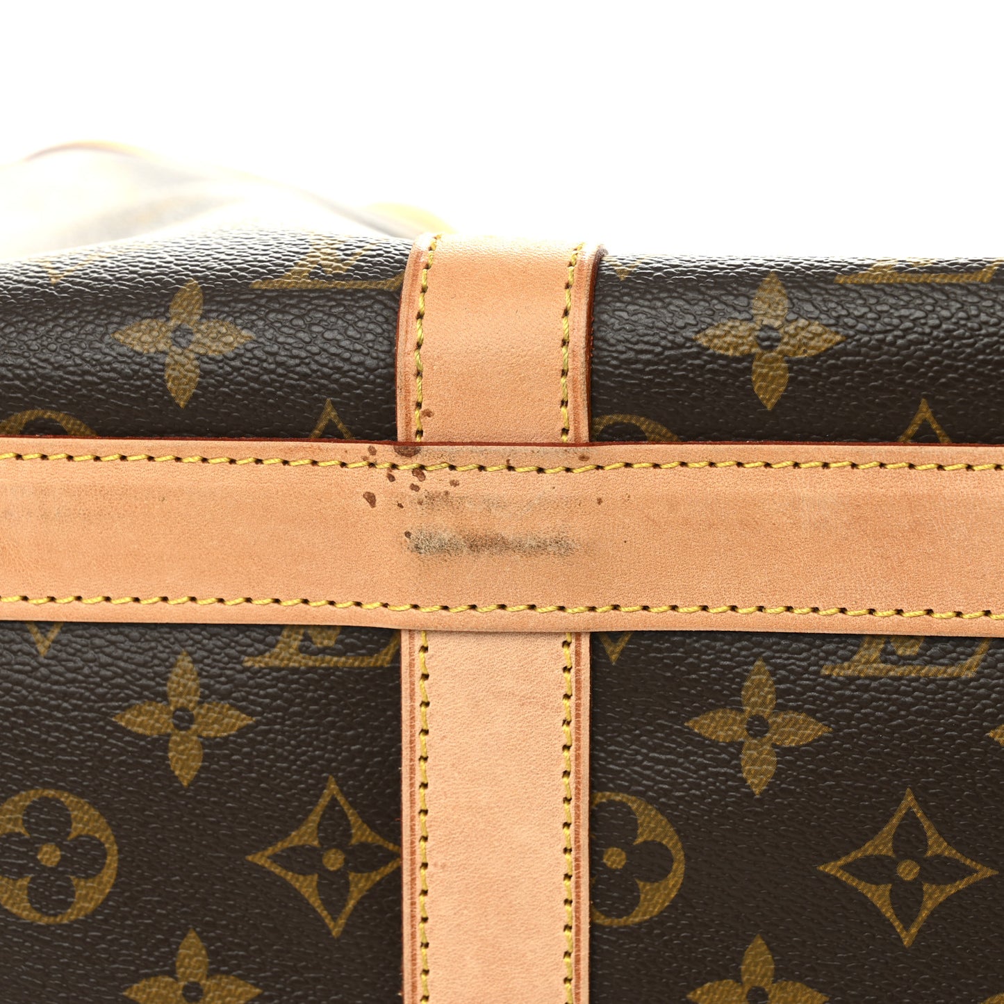Monogram Dog Carrier 50