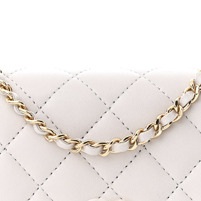 Chanel Lambskin Quilted Crystal CC Wallet On Chain WOC Grey 9 of 12