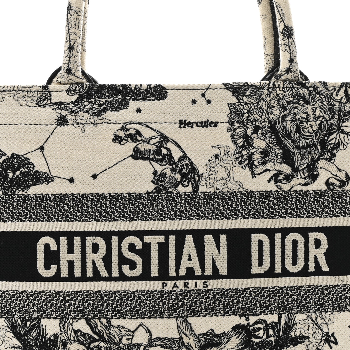 Canvas Zodiac Toile De Jouy Embroidered Medium Book Tote Latte