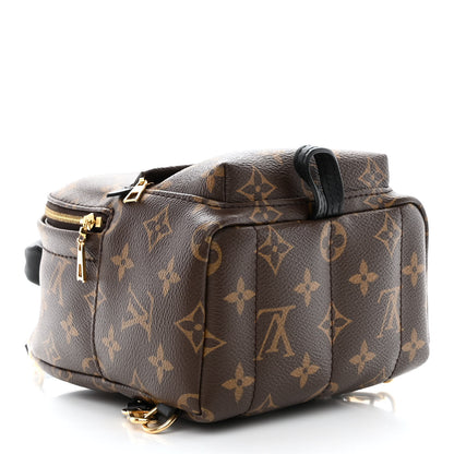 Louis Vuitton Monogram Palm Springs Backpack Mini 4 of 10