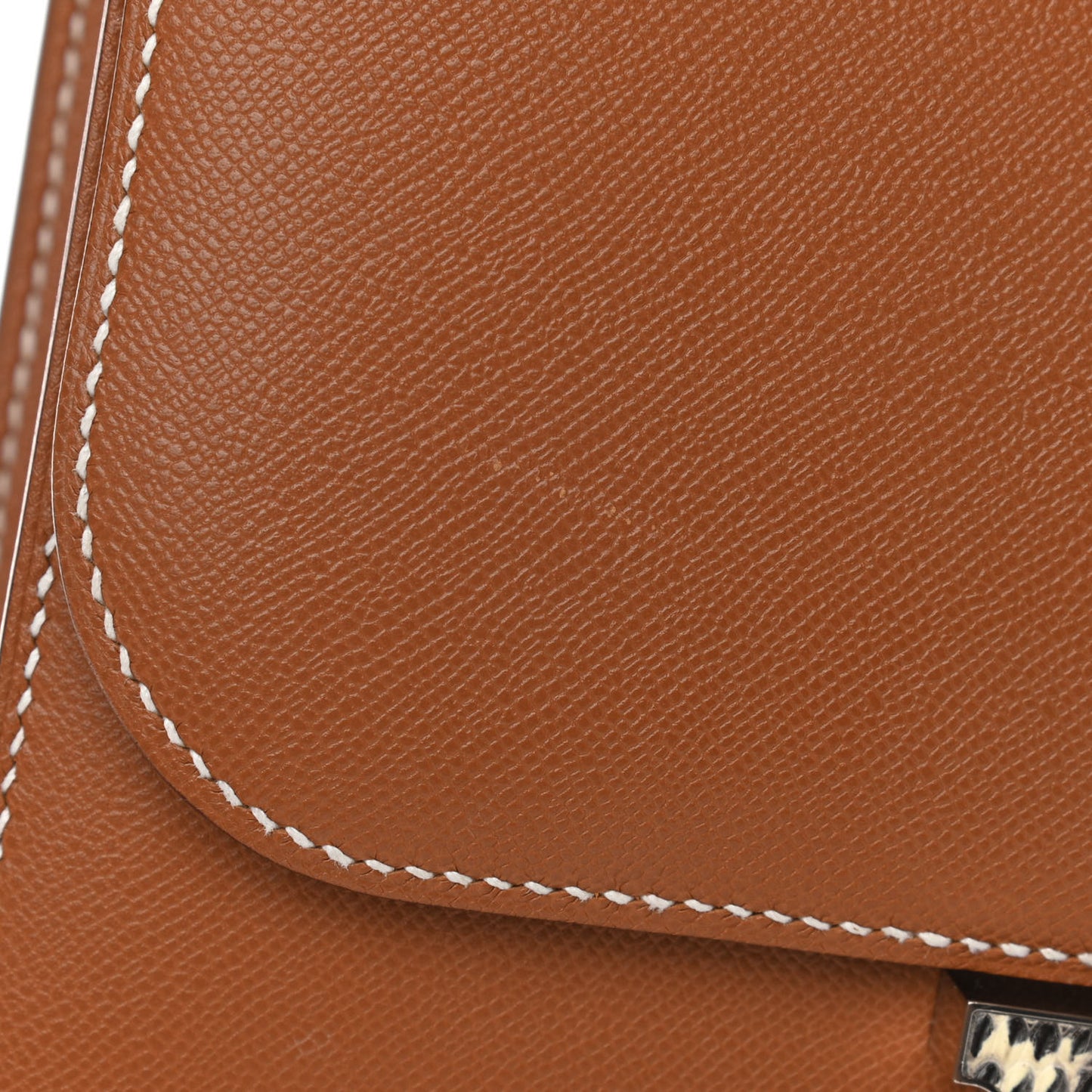 Grained Monsieur Lizard Constance 24 Gold Ombre