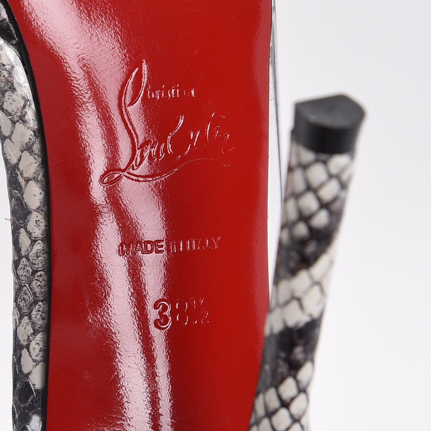 Watersnake Printed Nappa PVC Hargaret 120 Pumps 38.5 Roccia
