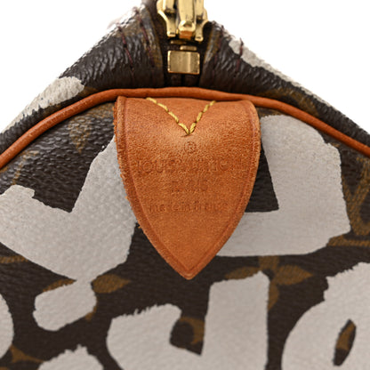 Louis Vuitton Monogram Graffiti Speedy 30 Silver 6 of 13