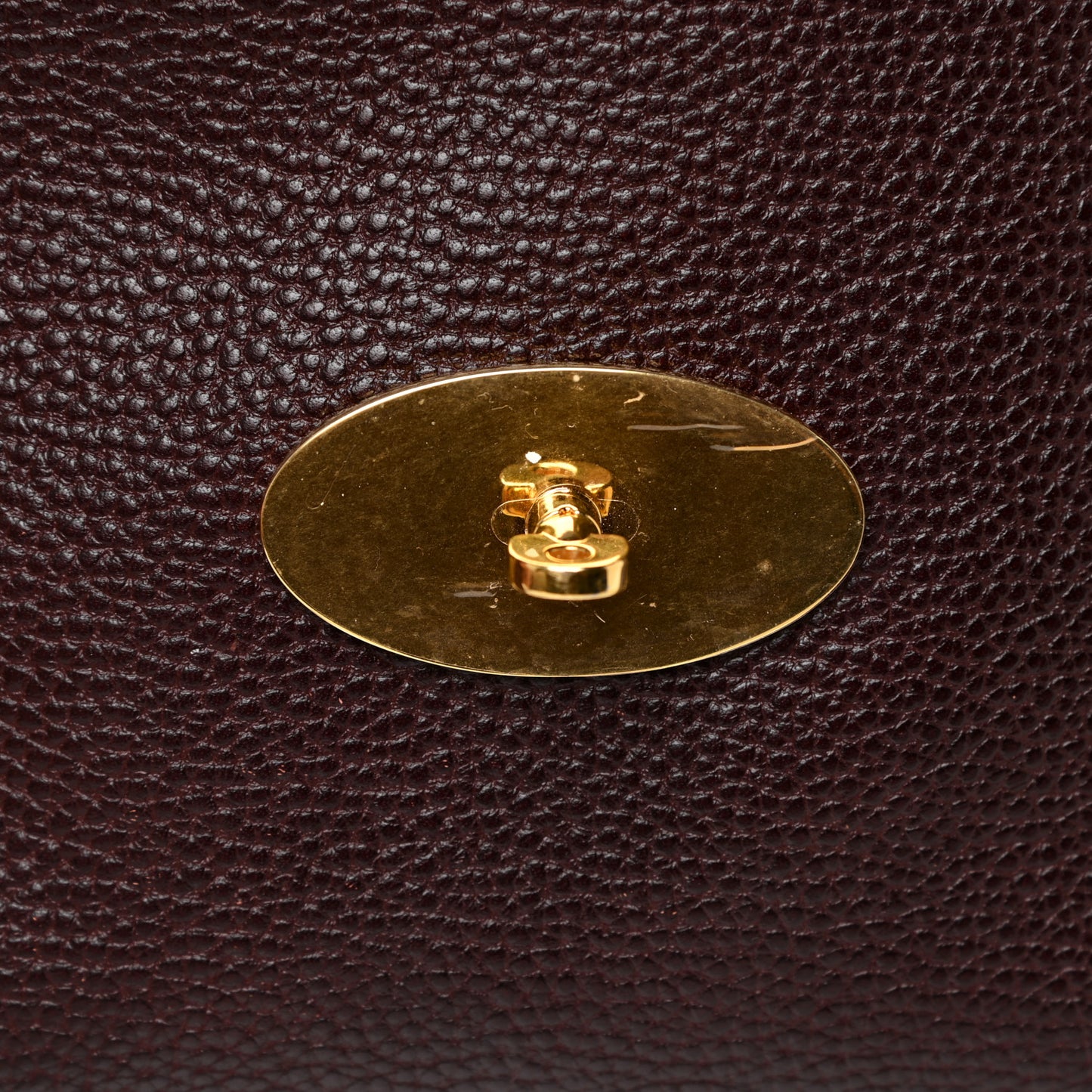 Glossy Goatskin Medium Lily Oxblood