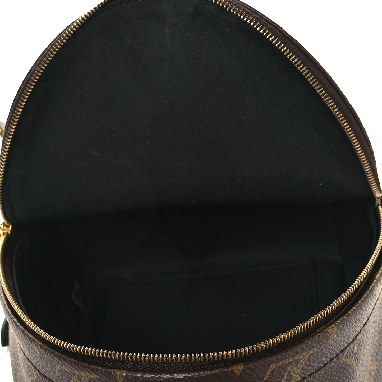 Monogram Palm Springs Backpack Mini