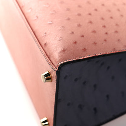 Hermes Ostrich Horseshoe Kelly Sellier 28 Terre Cuite Gris Agate 39 of 39