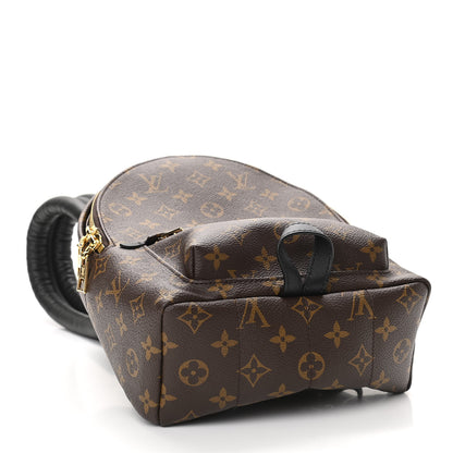 Louis Vuitton Monogram Palm Springs Backpack PM 4 of 10