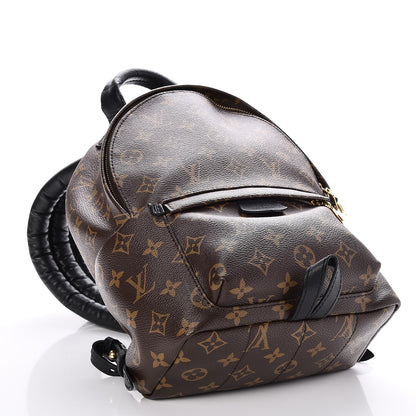 Louis Vuitton Monogram Palm Springs Backpack PM 4 of 8