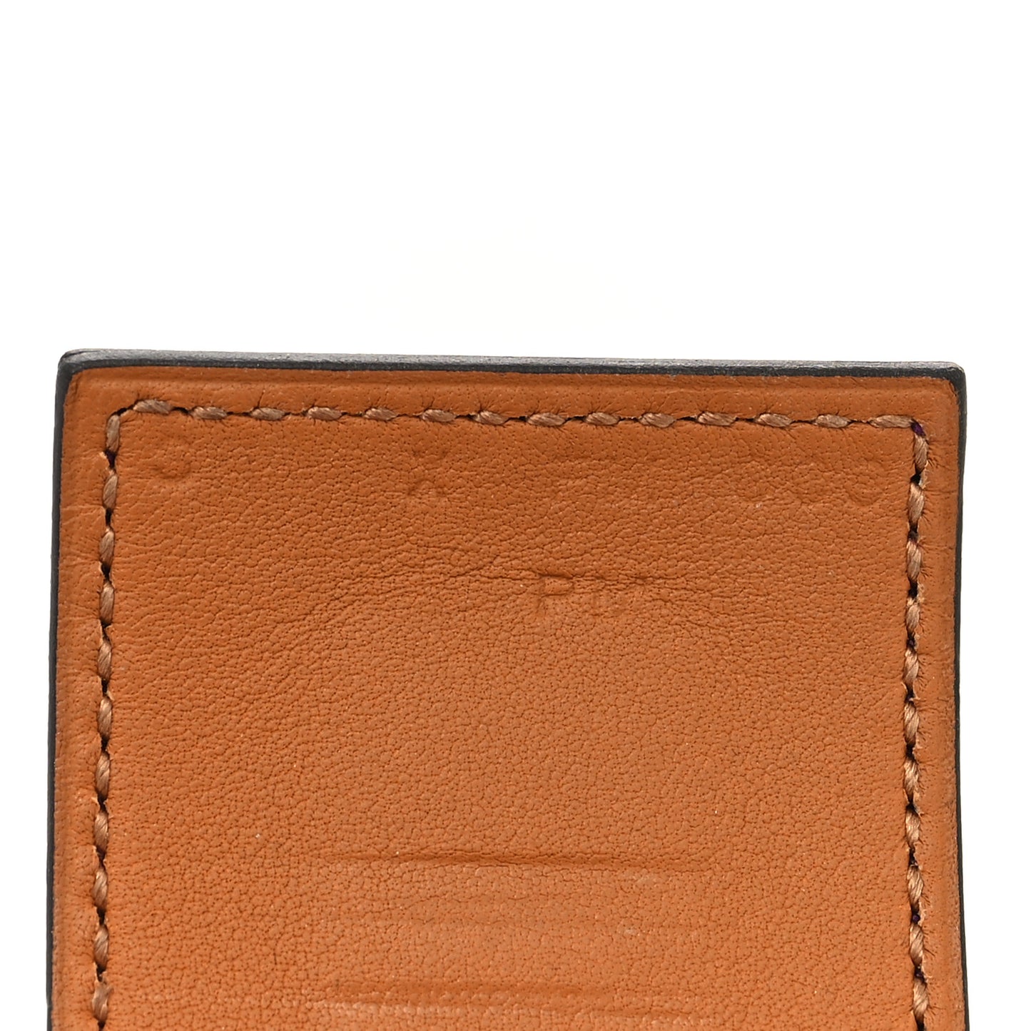 Swift Collier De Chien CDC Bracelet S Anemone