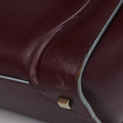 Celine Palmelato Mini Luggage Burgundy Azur Blue 10 of 33
