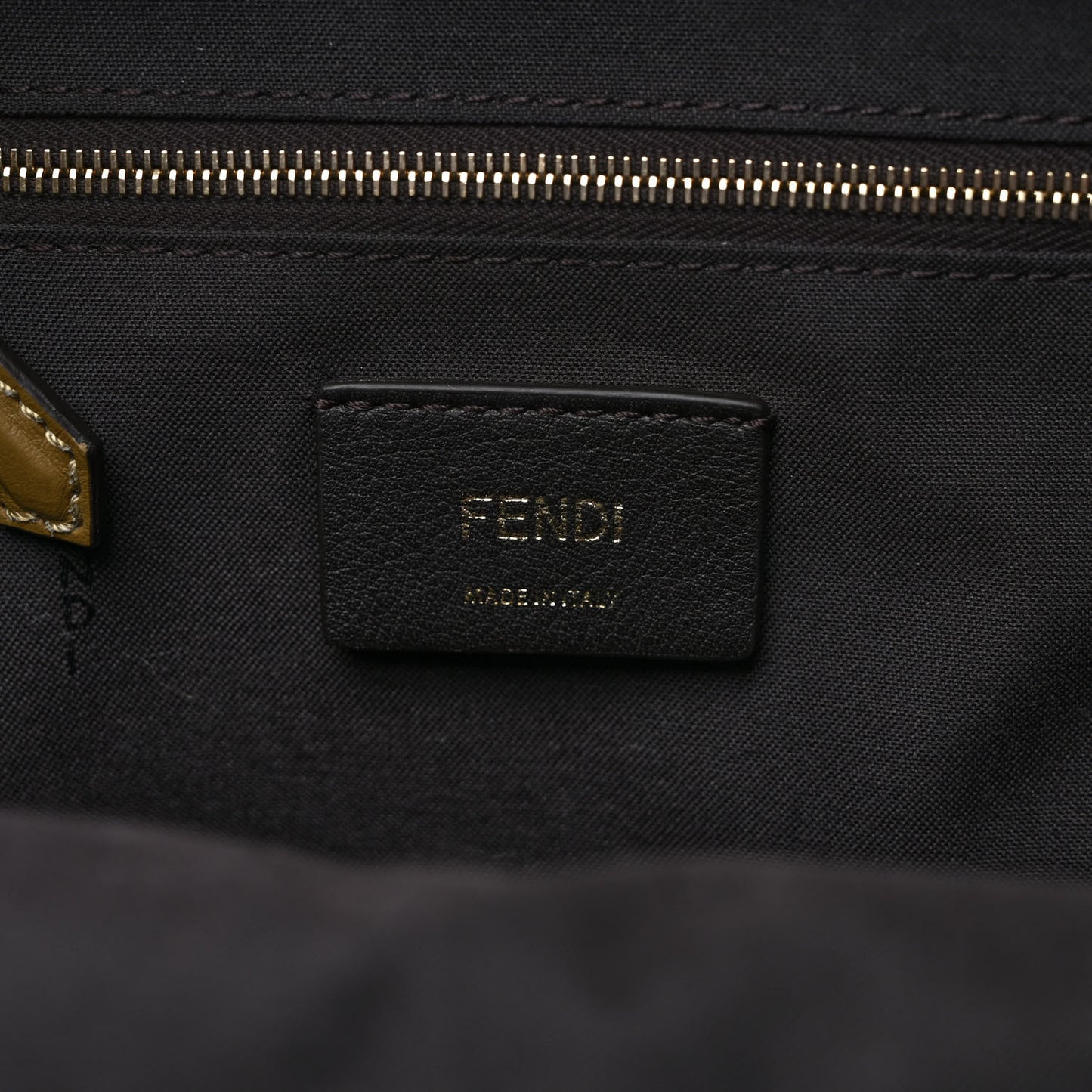 Velvet Vitello Century FF Embossed Mini Backpack Camaleonte