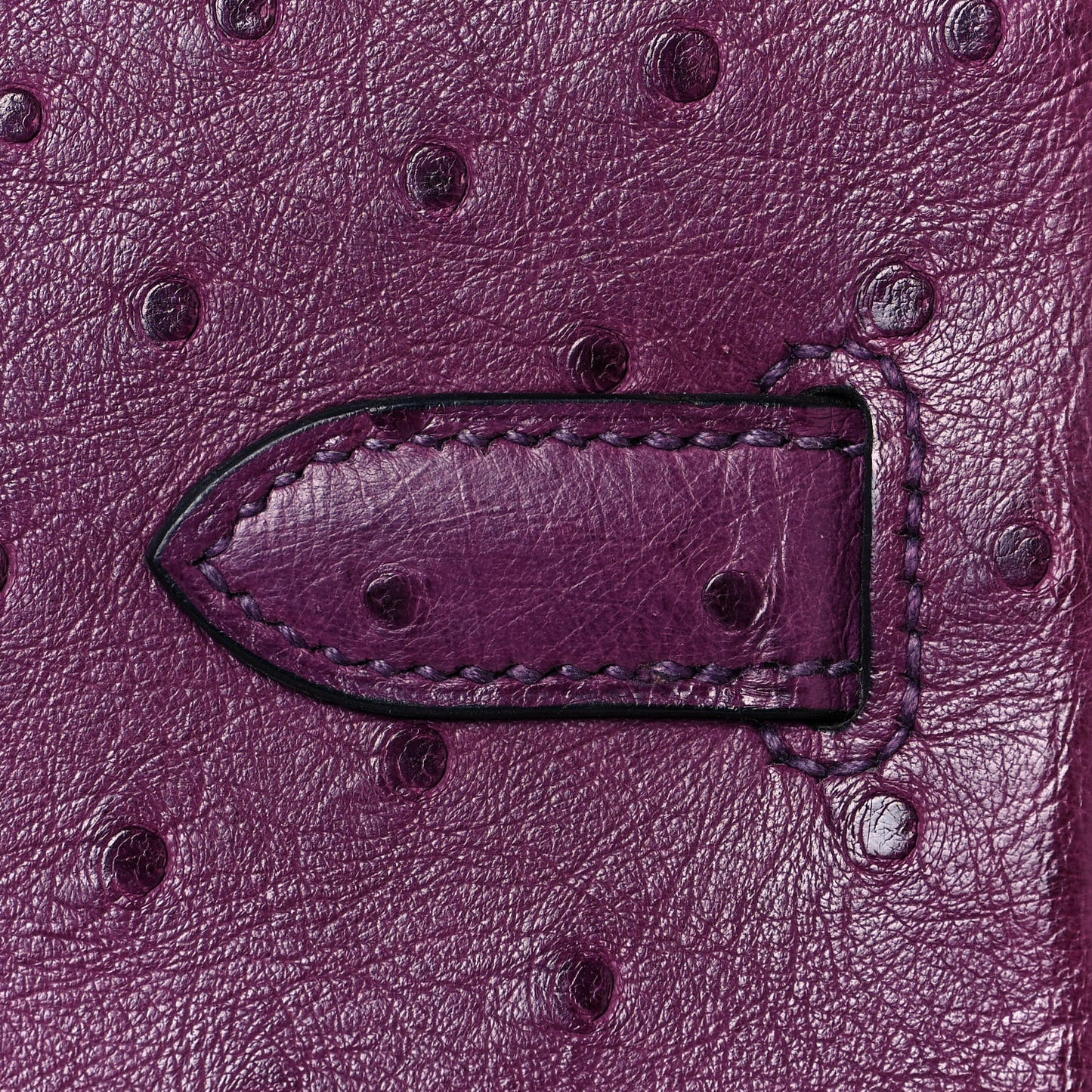 Ostrich Birkin 30 Violine