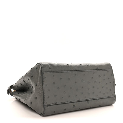 Fendi Ostrich Shiny Nappa Mini Peekaboo Iconic Satchel Grey 4 of 9
