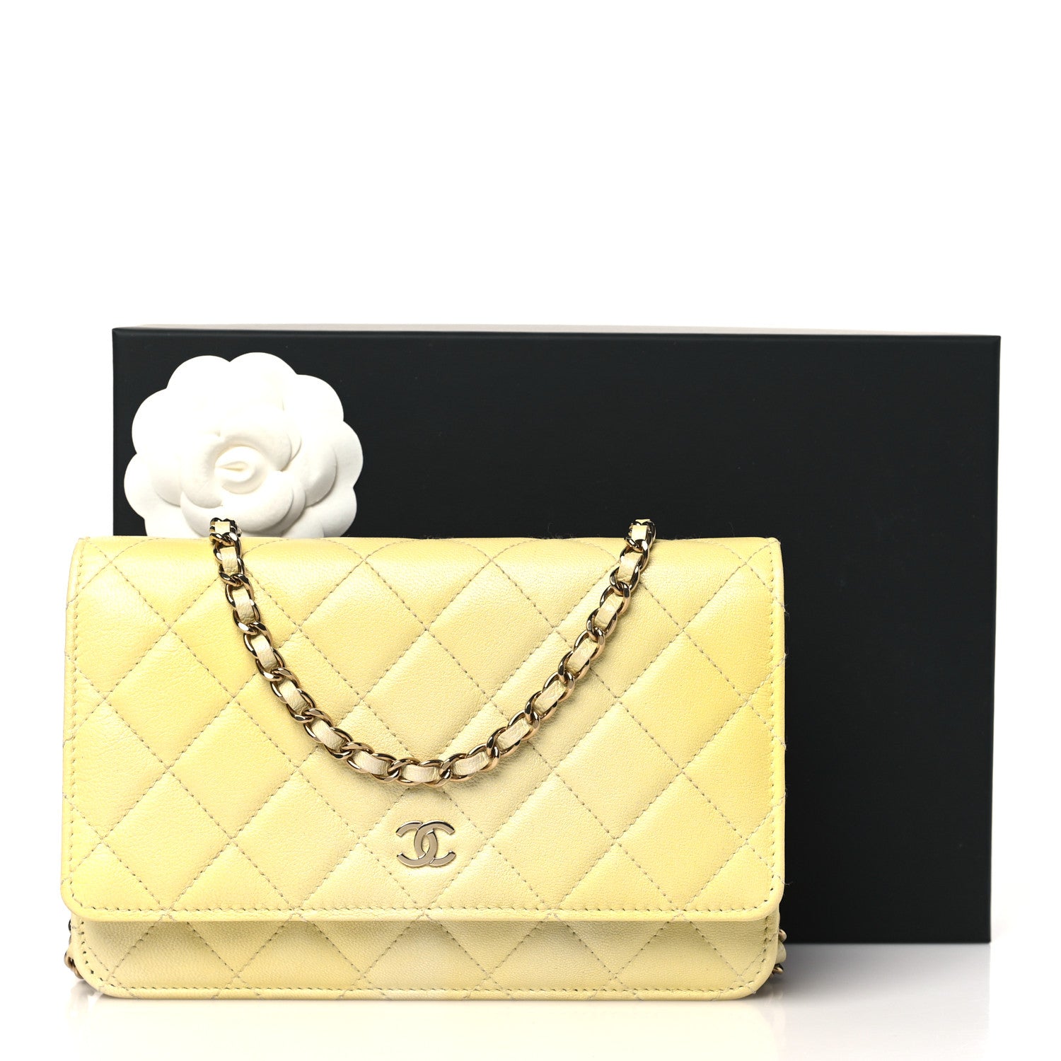 Chanel Cloudy Pearly Goatskin Quilted Wallet on Chain WOC Jaune 12 of 12