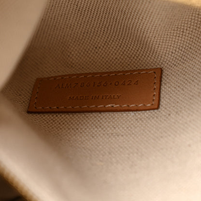 Saint Laurent Canvas Calfskin Camera Supple Bag Avorio Vintage Brown 7 of 10