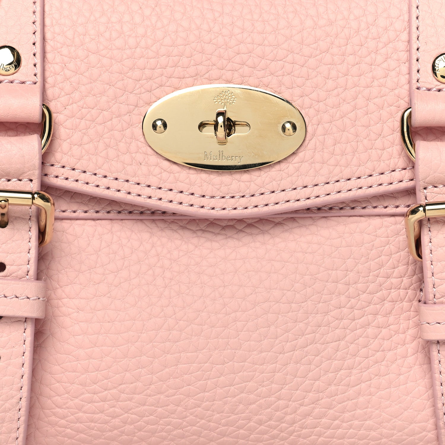 Mulberry Heavy Grain Mini Alexa Powder Rose 7 of 9