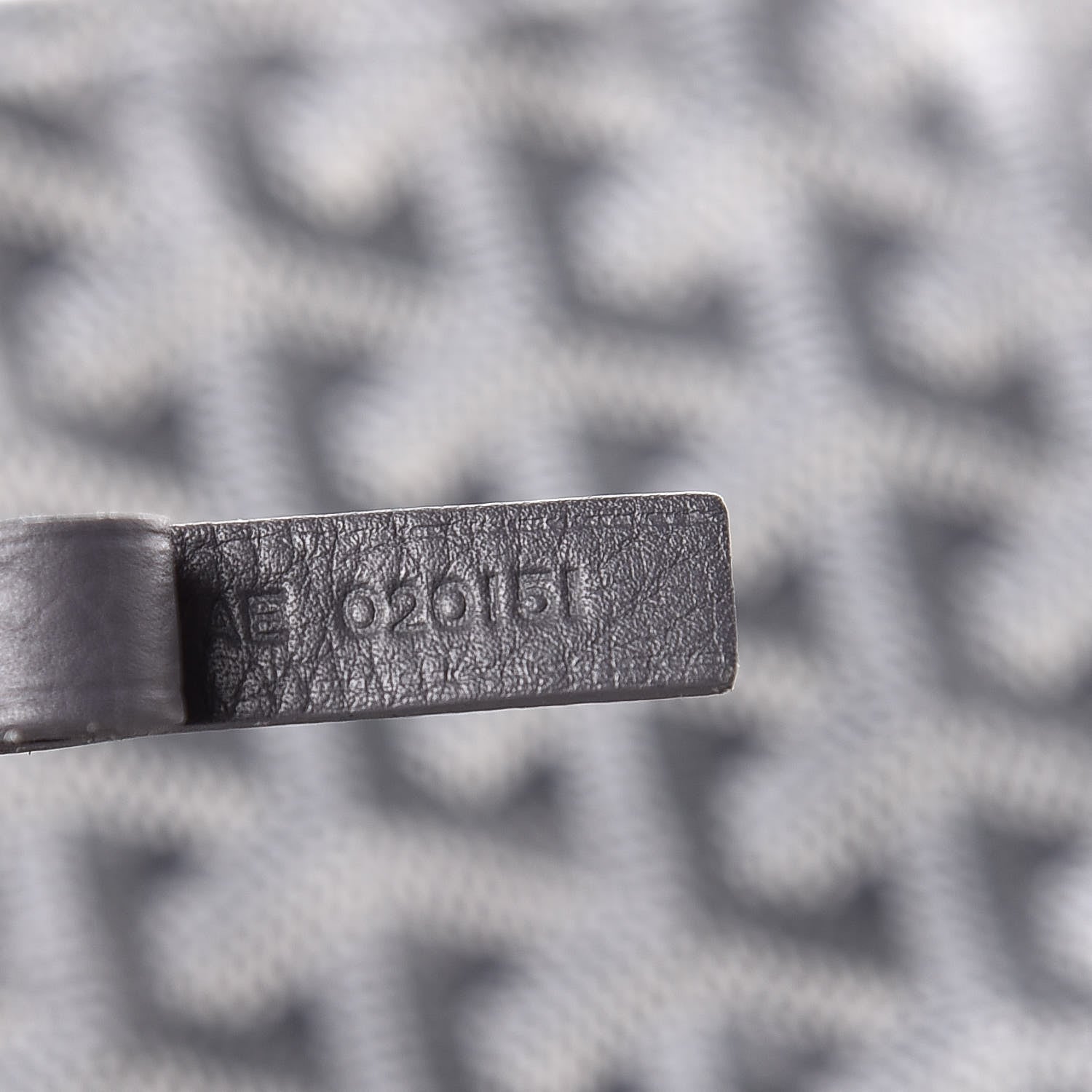 Goyard Goyardine Saint Louis PM Grey 9 of 13