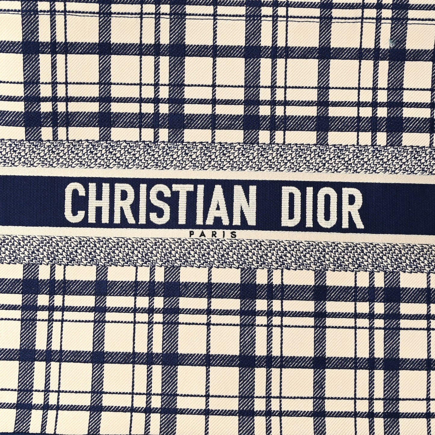 Canvas Embroidered Medium Check'n'Dior Book Tote Blue White