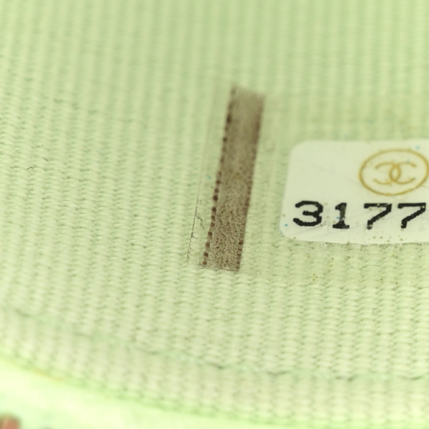 Caviar Quilted Small Handle With Care Vanity Case With Chain Light Green