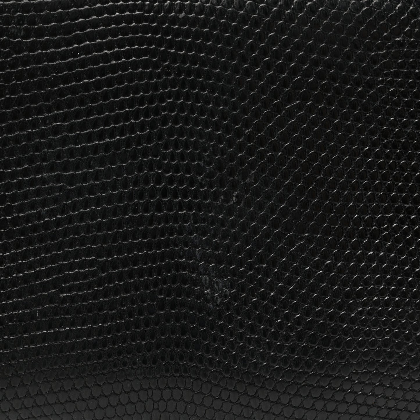 Lizard Azap Wallet Black