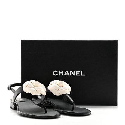 Chanel Lambskin Camellia Thong Sandals 39 Black White 11 of 11