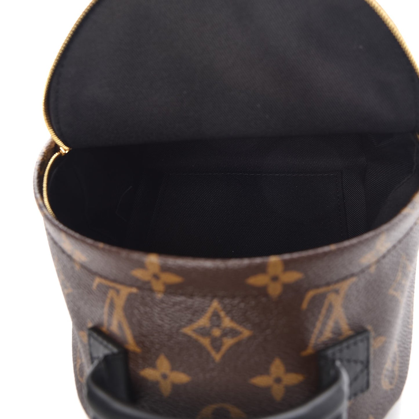 Monogram Palm Springs Backpack Mini
