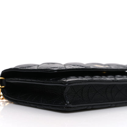 Christian Dior Supple Calfskin Caro Pouch with Chain Black 7 of 11