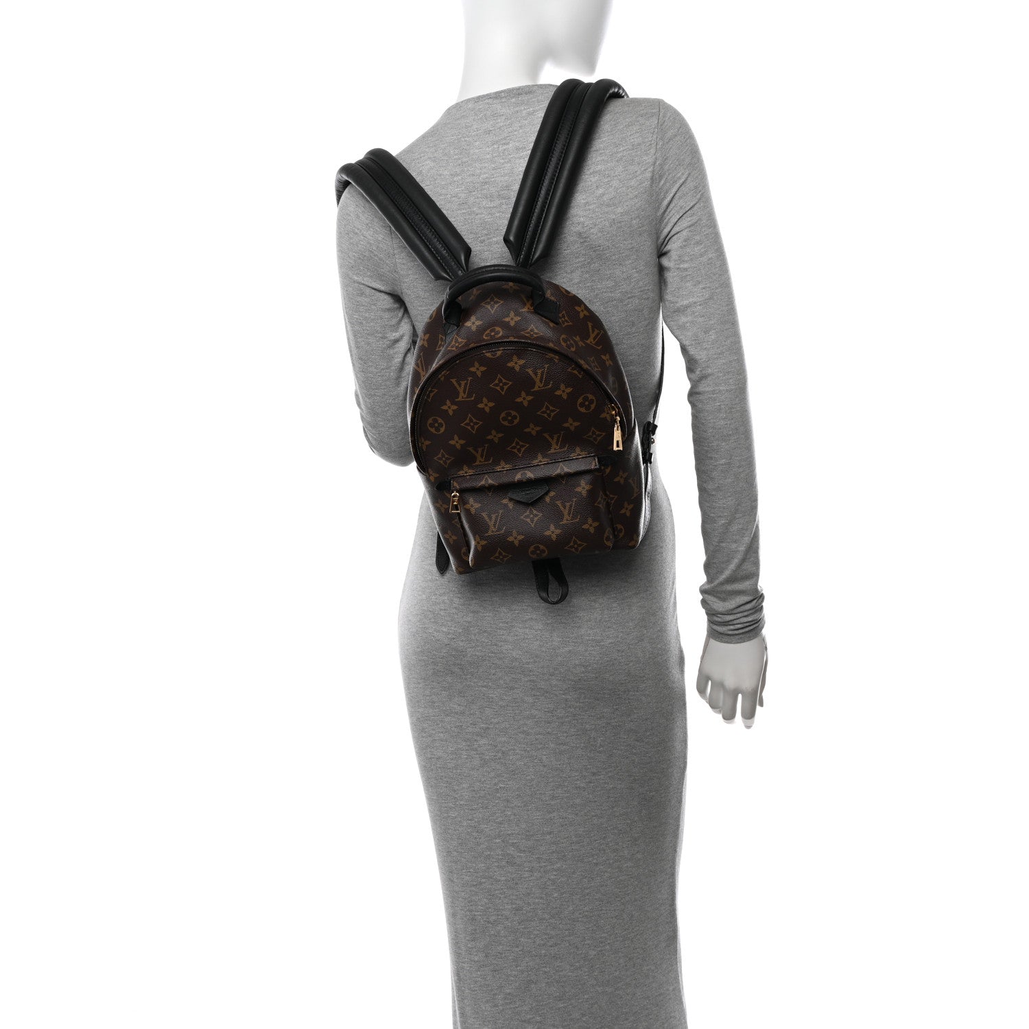 Louis Vuitton Monogram Palm Springs Backpack PM 2 of 10