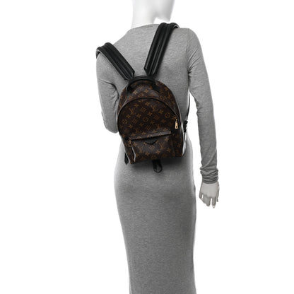 Louis Vuitton Monogram Palm Springs Backpack PM 2 of 10
