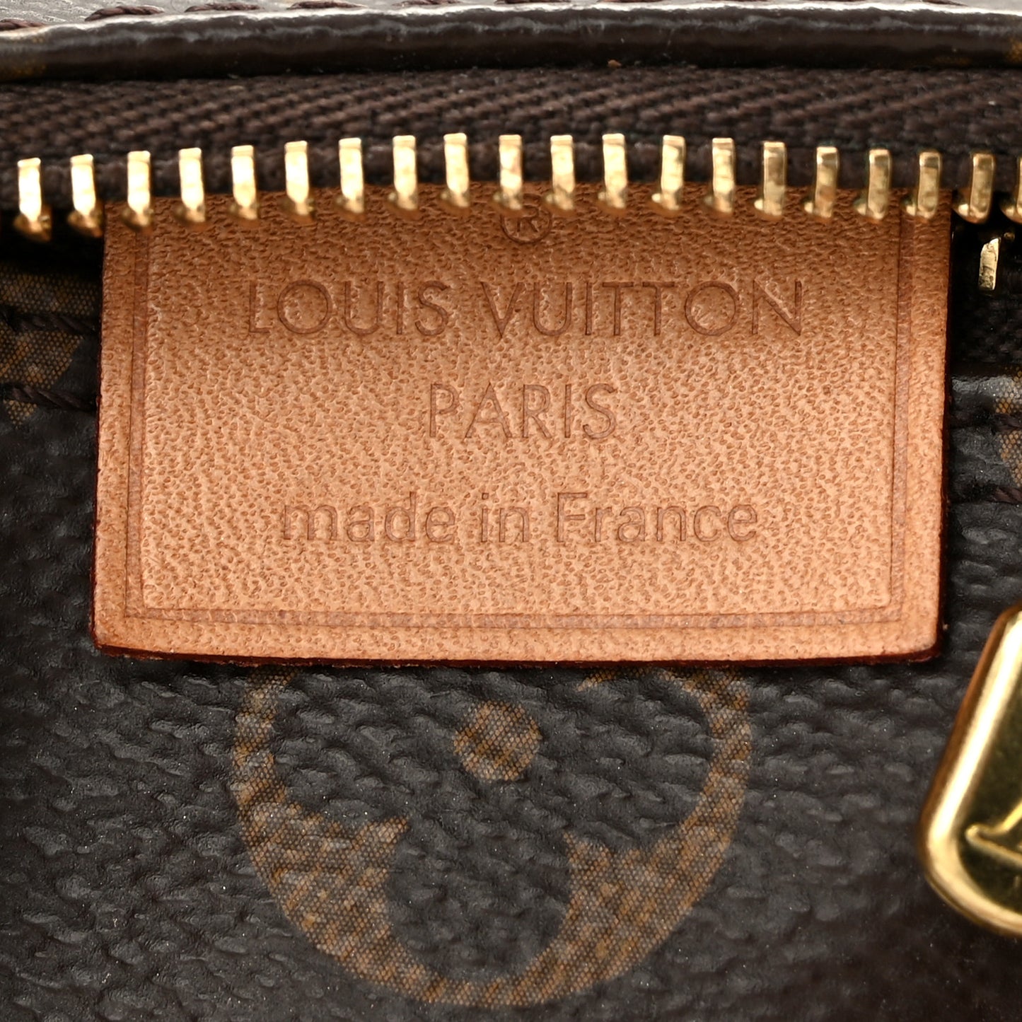 Monogram Nano Speedy