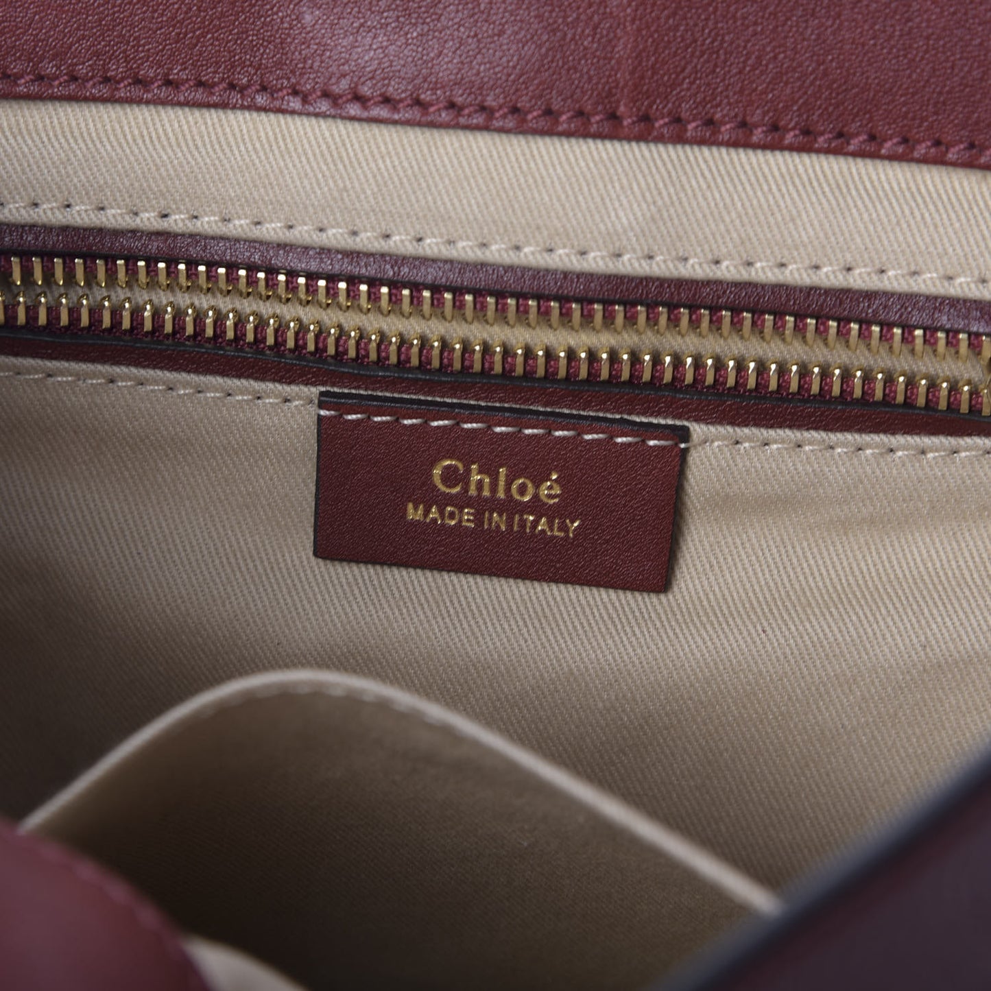 Suede Calfskin Medium Faye Backpack Sienna Red