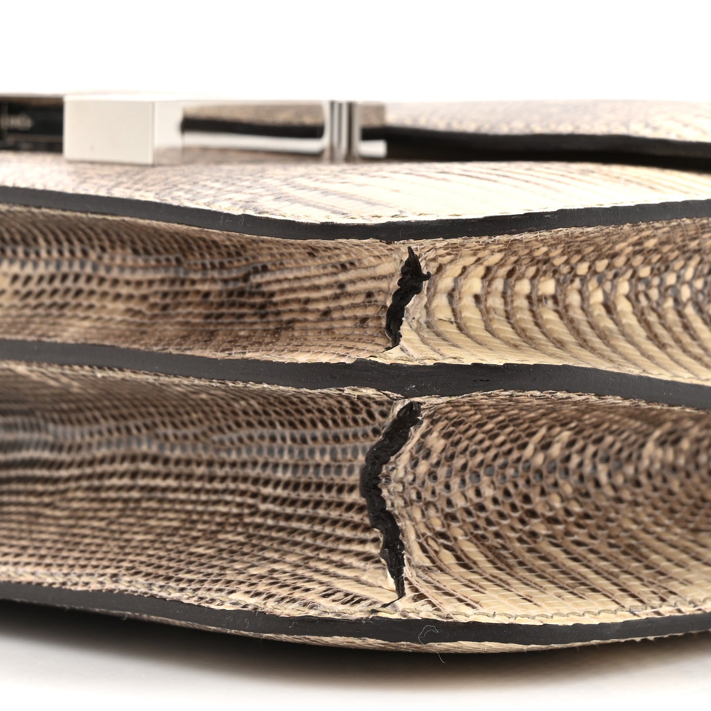 Lizard Constance 18 Ombre