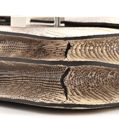Hermes Lizard Constance 18 Ombre 10 of 13