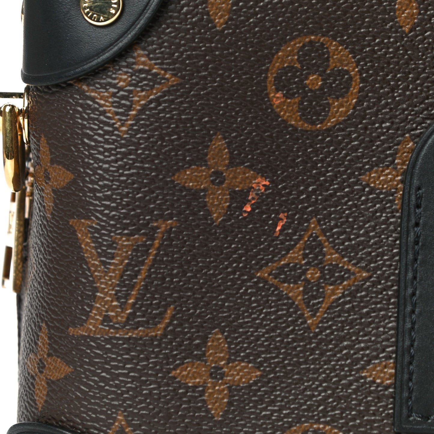 Monogram Petite Malle Souple Black