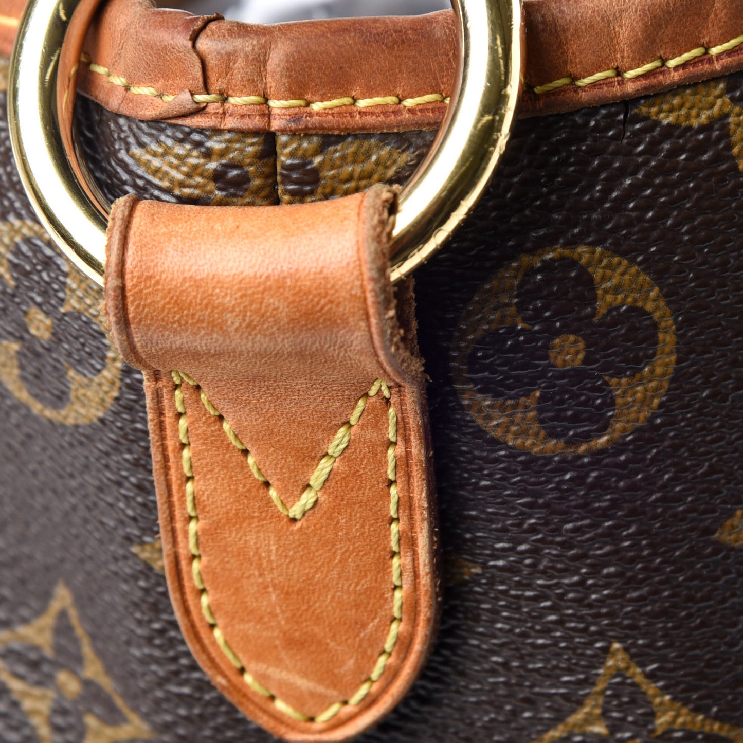 Monogram Delightful PM