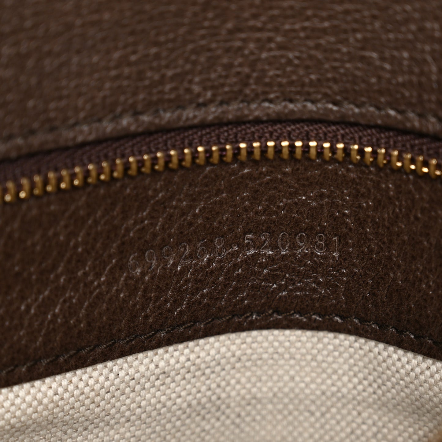 GG Supreme Monogram Textured Dollar Calfskin Blondie Chain Shoulder Flap Bag Beige Ebony New Acero