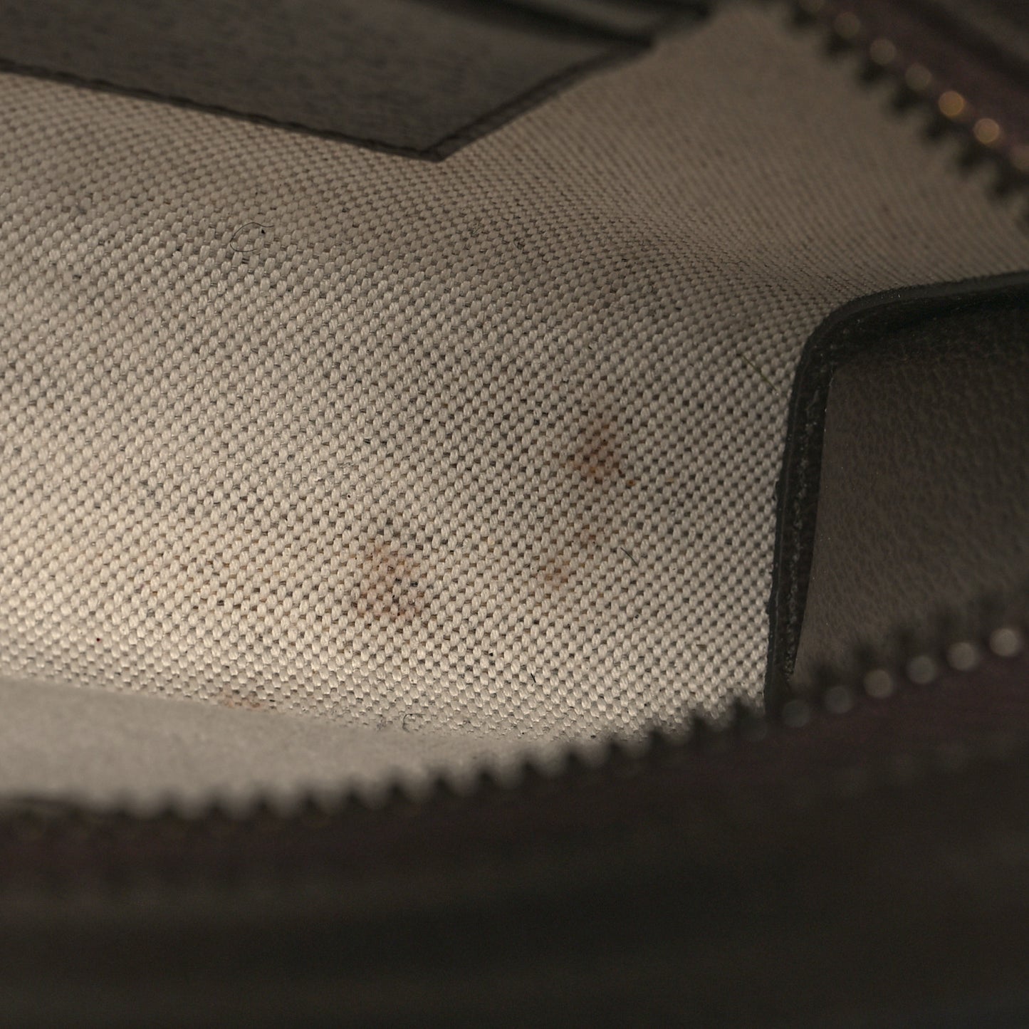 GG Supreme Monogram Web Small Ophidia Shoulder Bag Brown