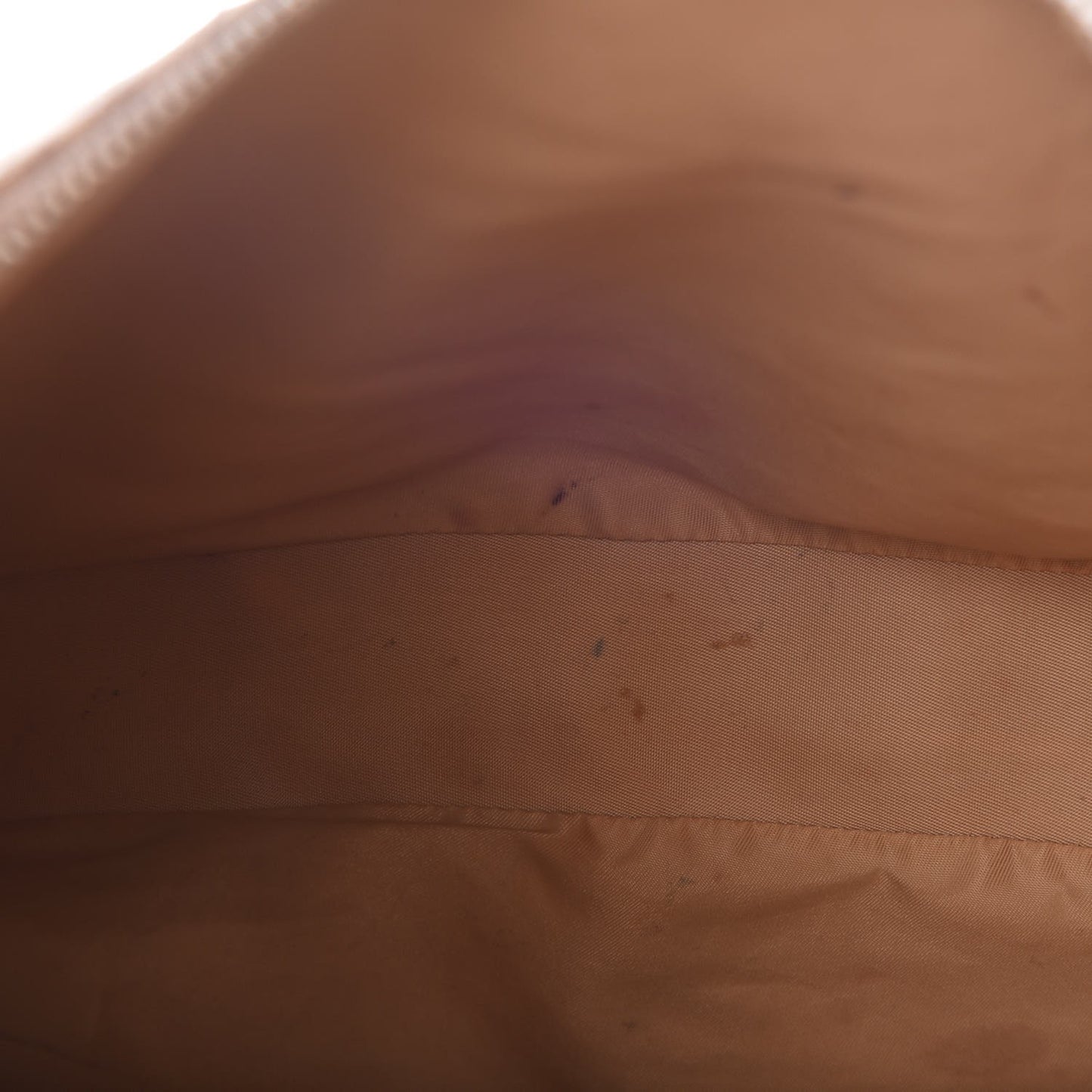 Monogram Street Chic Hobo Beige