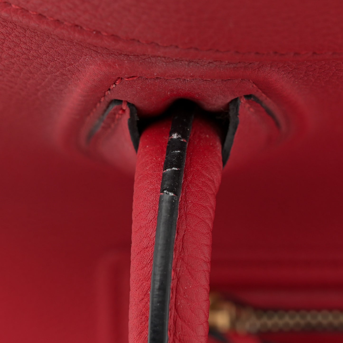 Grained Baby Calfskin Medium Phantom Luggage Carmin