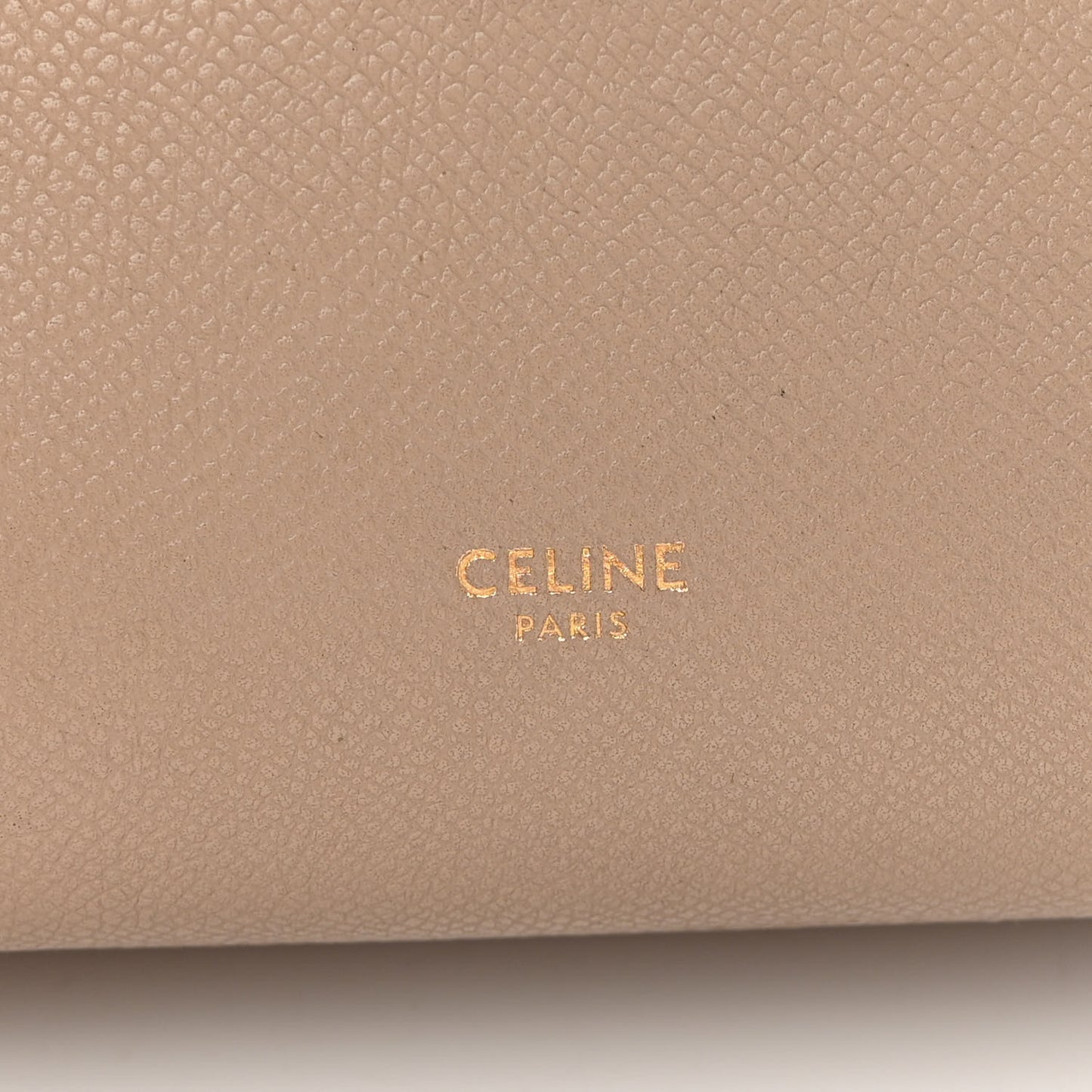Grained Calfskin Pico Belt Bag Light Taupe