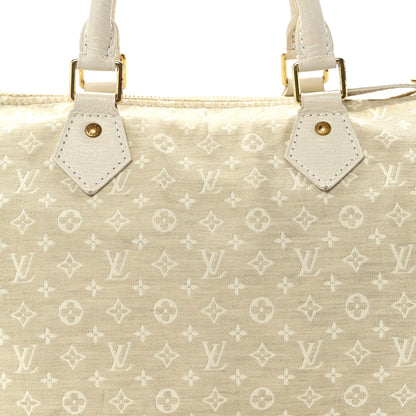 Louis Vuitton Mini Lin Speedy 30 Dune 7 of 12