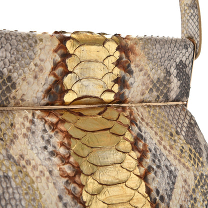 Christian Dior Python Babe Frame Bag 14 of 14