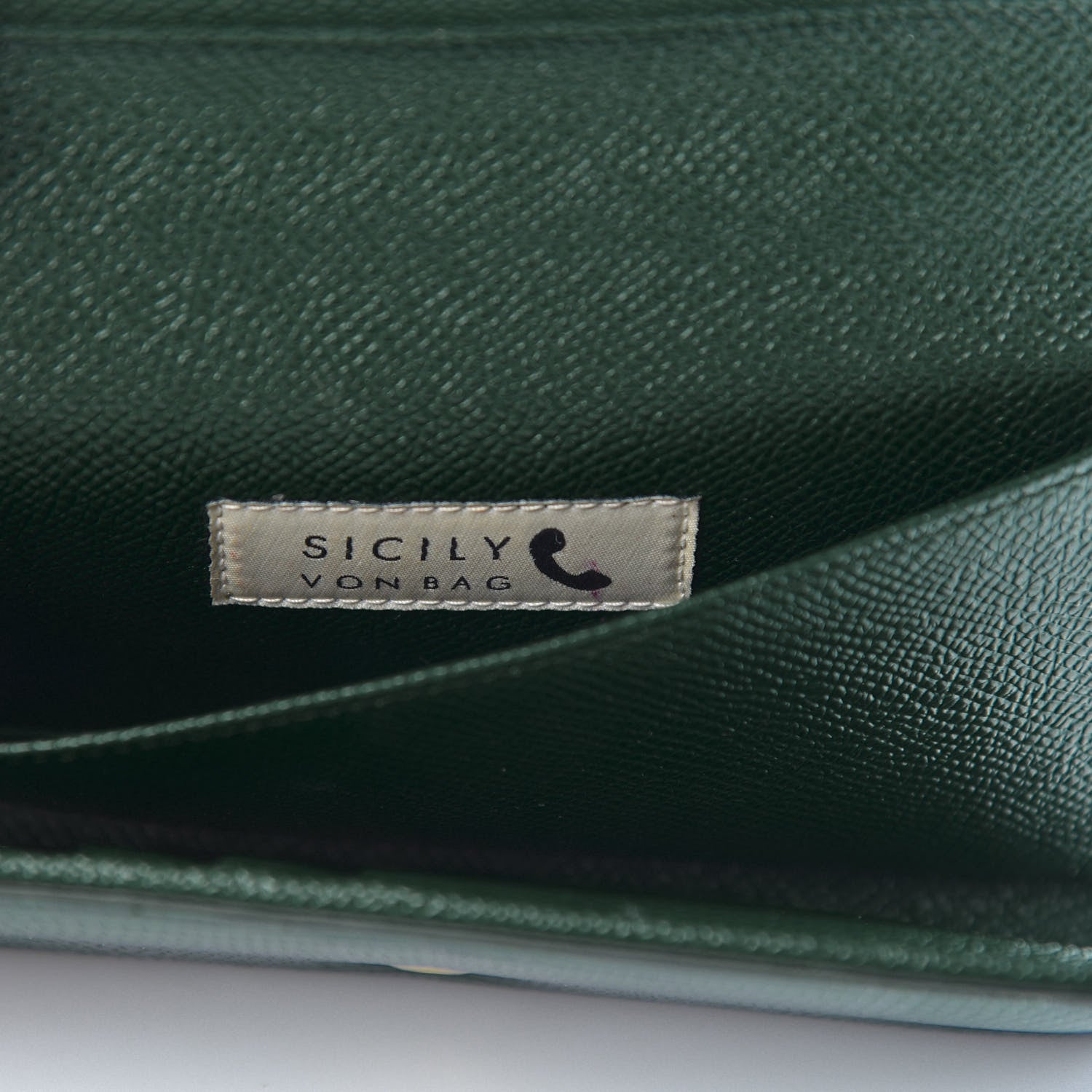 Dolce & Gabbana Lizard Calfskin Embossed Crystal Wallet On Chain Green 6 of 11